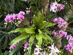 -北京植物园-展览温室