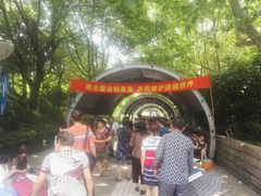 -人民公园-相亲角