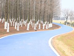 -宜兴龙背山森林公园