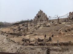 -石家庄市动物园