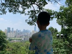 -龟山风景区-龟山电视塔