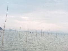 -北岐滩涂