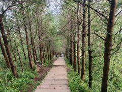 -东白山