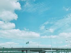 -荷兰花海