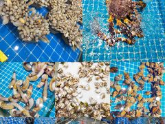 -三亚火车头万人海鲜广场