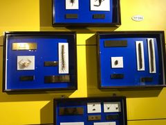 -上海昆虫博物馆