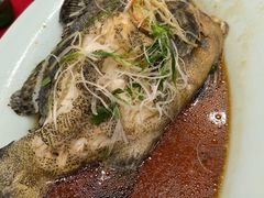 -良友·海鲜青岛菜(五四广场店)