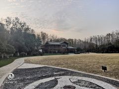 -合肥滨湖国家森林公园