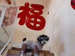 -小意思咖啡店(草桥店)