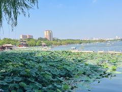 -济南大明湖景区