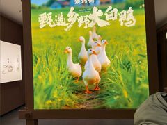 -张烤鸭·川菜·非遗冒烤鸭(青石桥店)