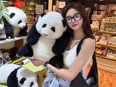 -轩客会(熊猫书店)