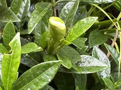 -Beans Solo豆号咖啡(百家湖花园店)