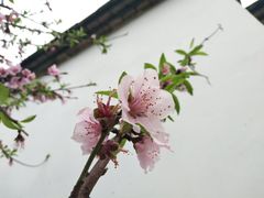 -乌山风景区