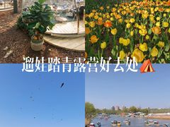 免门票-朝阳公园