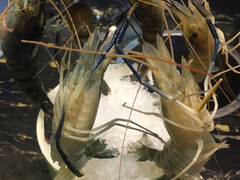 -渔傅·蓝海岸霞浦海鲜(正祥店)