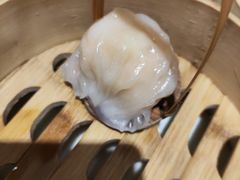 -金鼎轩(亚运村店)