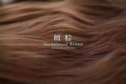 -虫二·专注健康烫染沙龙