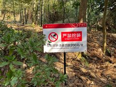 -江南天池