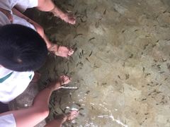 -碧水湾温泉