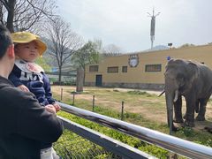 -无锡动物园·太湖欢乐园