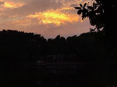 -荔湾湖公园