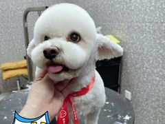 -宠物家(角门东店)