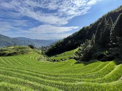 -龙脊梯田