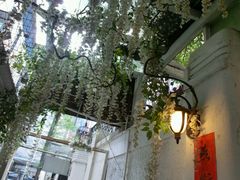 android_upload_pic-燕庭·纯燕窝·甜品下午茶(南京西路店)