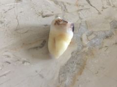 -田锋口腔诊所