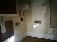 -金山农民画村-枫泾波兰倒置屋