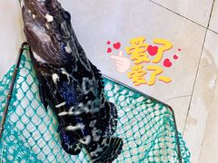 -鑫鸿达·海鲜闽菜热炒小馆(中山路店)