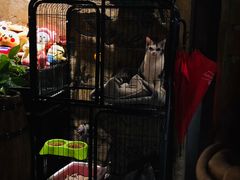 -ZONE BAR 音乐清吧