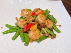 荷兰豆炒澳洲鲜贝-香樟花园新粤料理(无锡万象城店)