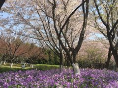 -白塘生态植物园
