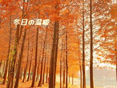 -尚贤河湿地