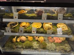 -滇野云南野生菌餐厅(陕西南路店)