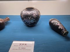 -青岛贝壳博物馆
