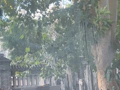 -卫鼎轩·曹公馆(鼓楼店)
