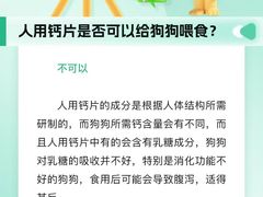 -瑞派申生动物医院·24H夜诊·国际动物医疗中心·骨外科(吴中路店)