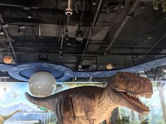 -陕西自然博物馆