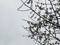 -长广溪湿地公园