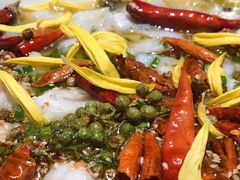 -太二酸菜鱼(沈阳万象城店)