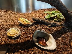 -曲廊院(东四十一条店)