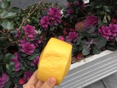 南瓜馒头-王家沙点心店(万航渡路店)