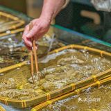 性价比超高的台州海鲜店，来一趟太值了! !
