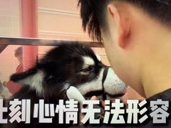 -FAELING PETS美天灵宠物(合生汇店)