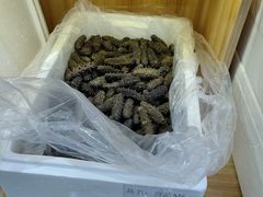 -宫品海参专卖店(静安大宁店)