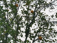 -张家界青和锦江国际酒店