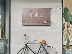 -猫里有甜